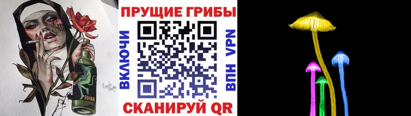 купить наркотики сайты  площадка состав  гидра рабочий сайт  Псилоцибиновые грибы мицелий  Краснослободск 